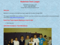 badmintonleague.com