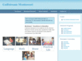 gulfstreammontessori.com