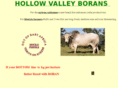 hollowvalleyborans.com.au