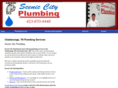 plumberschattanoogatn.com