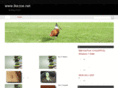 ikezoe.net