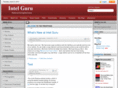 intelguru.com