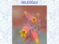 seleoglu.com