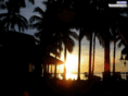 siargao-inn.com