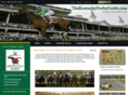 thekentuckyderbyguide.com