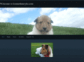 kennethmoyle.com