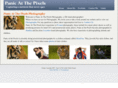 panicatthepixels.com
