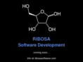 ribosasoftware.com