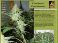 connoisseurcropsolutions.com