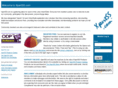 xpertss.com