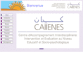 caiienes.org