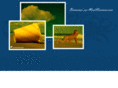 meretvacances.com