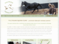 tullyraine.com