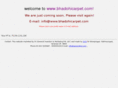 bhadohicarpet.com