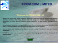 bviecom.com
