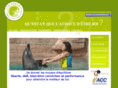 cameleoncoach.com