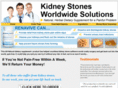 kidneystones.ws