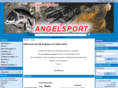 nb-angelsport.com