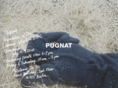 pugnat.com