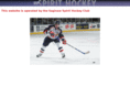 saginawspirit.net