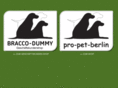 dummy-shop.com