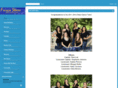 fhsstars.com