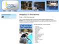 fortyfivepoolservice.com