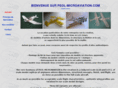 peol-microaviation.com