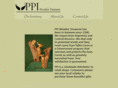 ppiwoodentreasures.com