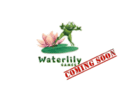 waterlilygames.com