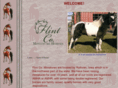 flintcominis.com