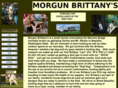 morgunbrittanys.com