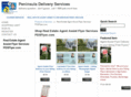 pdsflyer.com