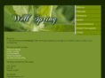 wellspringsavvy.com