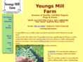 youngsmillfarm.com