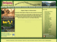 delganyheritagevillage.com