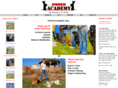 desmoinesdogtraining.com