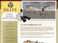 dliteonline.net