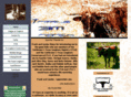 mceacherntriplemranch.com