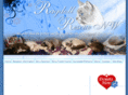 ragdollrescue.com