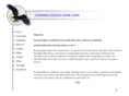 soaringeagleshc.com