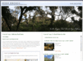 cotolistings.com