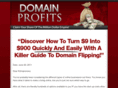 domainprofitsguide.net