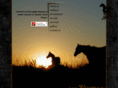 jandrquarterhorses.com