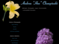 andreachempinski.com
