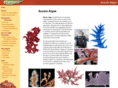 aussiealgae.org