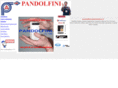 pandolfinicaldaie.com