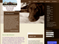 piersonpethospital.com