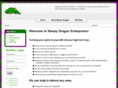 sleepydragon.net