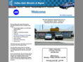 valleyautoelectriclp.com